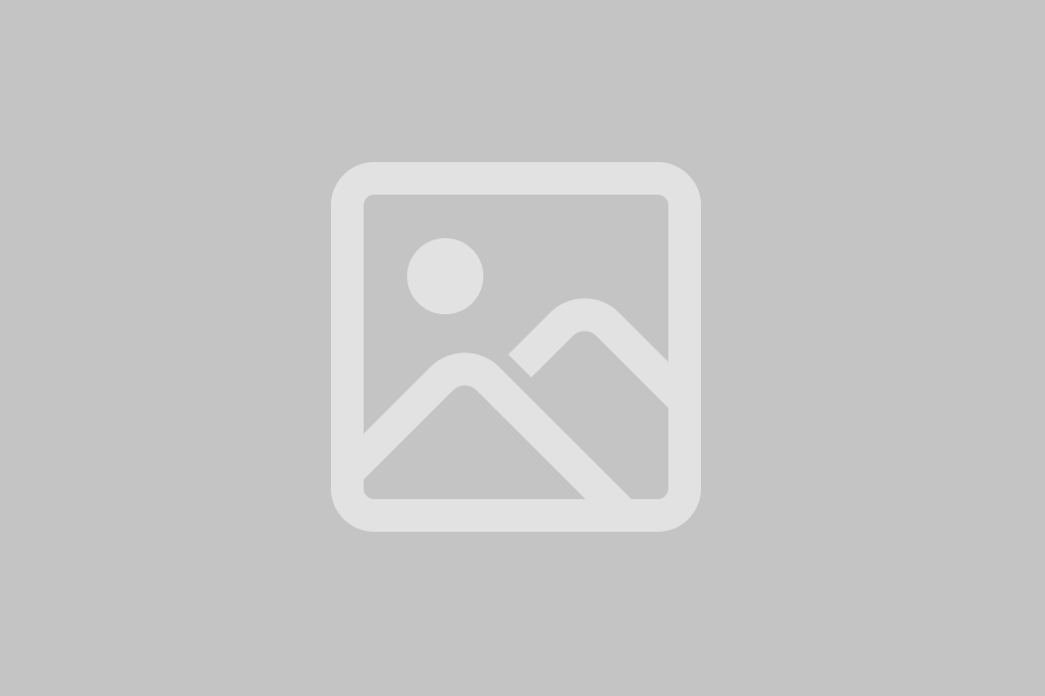 Как читать аукционный лист